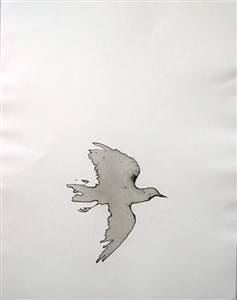 Image description is not available for 1980.032